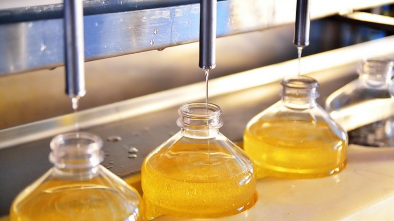 Sunflower oil. Factory line of production and filling of refined oil from sunflower seeds. Factory conveyor of food industry